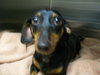 Barney - Courtesy