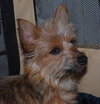 Amadala