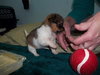 Lucia/Zoey