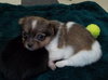 Lucia/Zoey