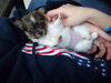 Lucia/Zoey