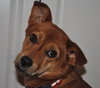 Kiah