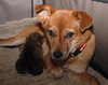 Kiah
