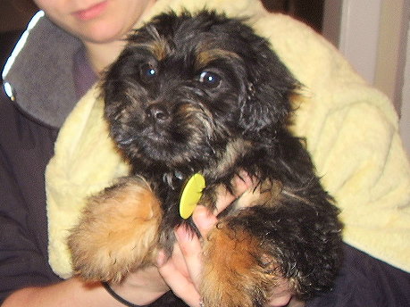 Seymour