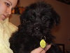 Wilbur