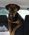 Murphy- Application Pending