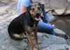 Murphy- Application Pending