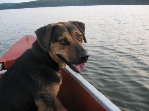 Murphy- Application Pending