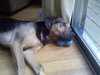 Murphy- Application Pending