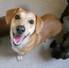 Chloe - Courtesy