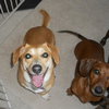 Chloe - Courtesy