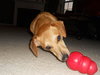 Chloe - Courtesy