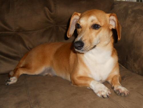 Chloe - Courtesy