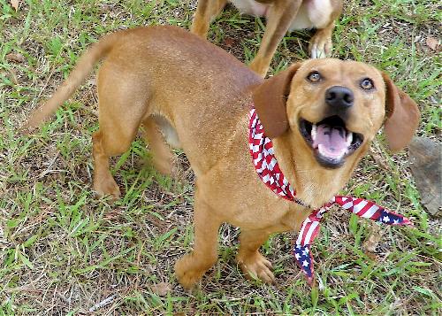 Willem