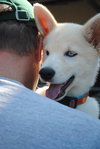Suri