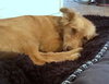 Serenity/Penny Lane