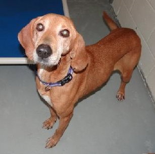Punkin - Courtesy