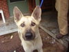 Boone - Application Pending