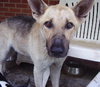 Boone - Application Pending