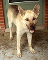 Boone - Application Pending