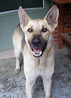 Boone - Application Pending