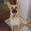 Boone - Application Pending