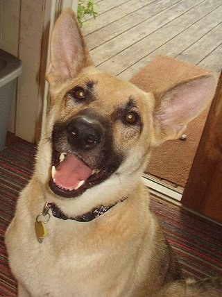 Boone - Application Pending