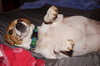 Hetty / Penny