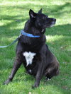 Cubby - Courtesy