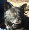 Cubby - Courtesy