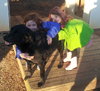 Lilly - Courtesy