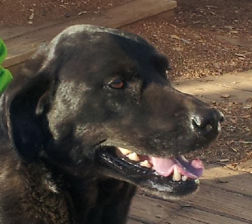 Lilly - Courtesy