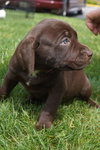 Molly