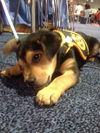 Teagan - Zoe