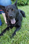 Roxy