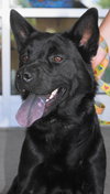 Roxy