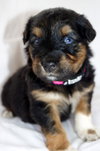 Mia