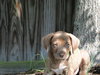 Sammy