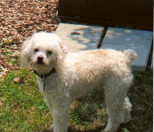 Rusty-Sandy