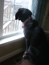 Athena