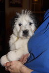Shilo