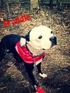 Freddie