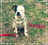 Frankie