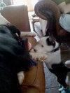 Pulce/Oisin