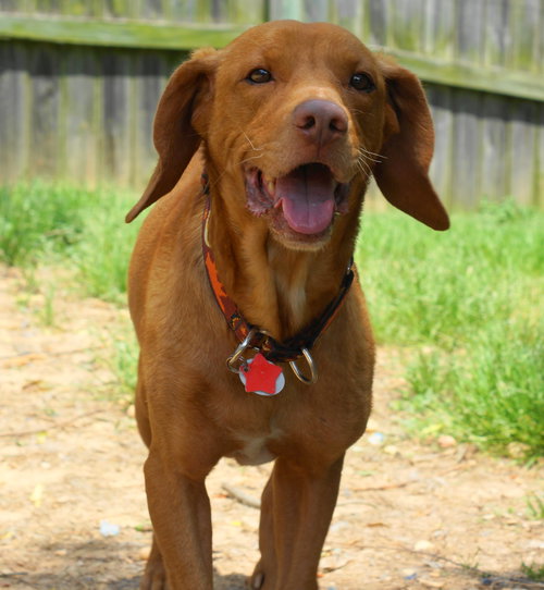 Seamus