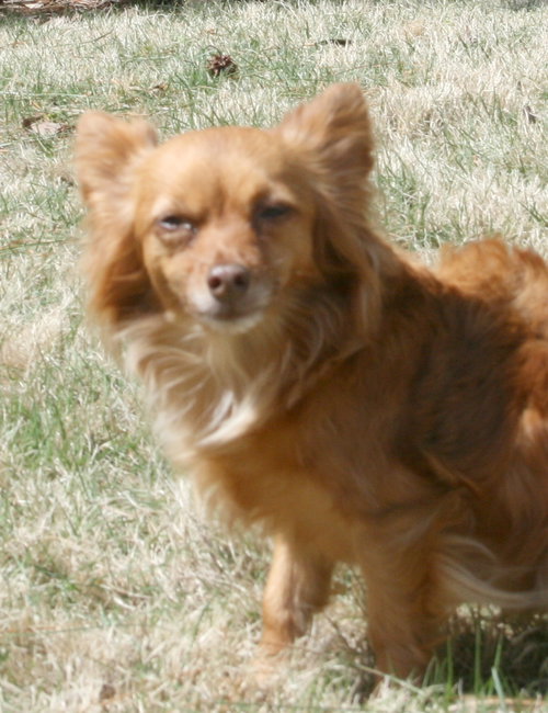 Teddy - Courtesy