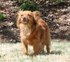 Teddy - Courtesy