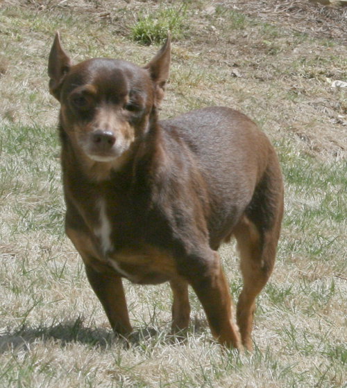 One-Eyed Jack - Courtesy