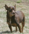 One-Eyed Jack - Courtesy