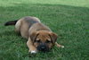 Walter